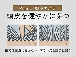 イメージ:（１）頭皮を健やかに保つ