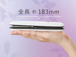 イメージ:手のひらサイズ