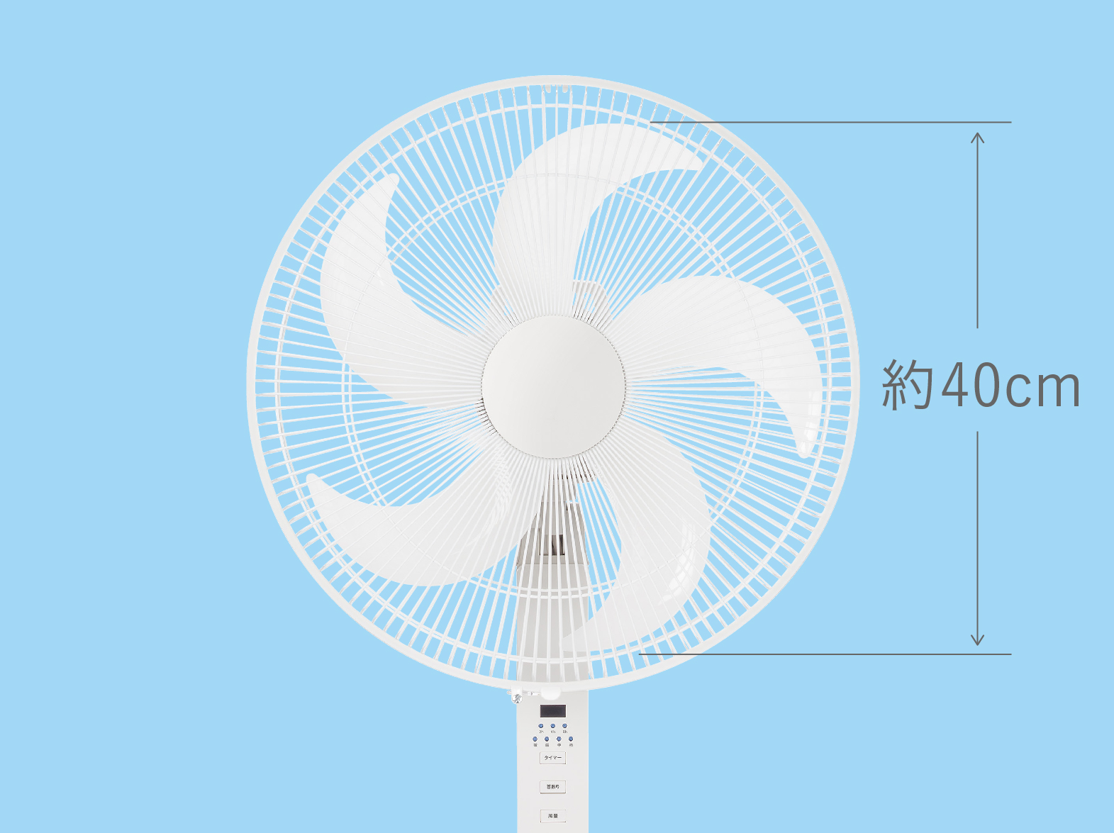 イメージ:約40cmの大きな羽根