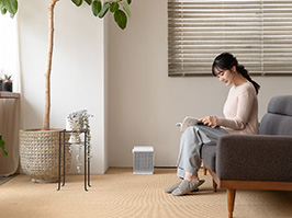 イメージ:CUBE series