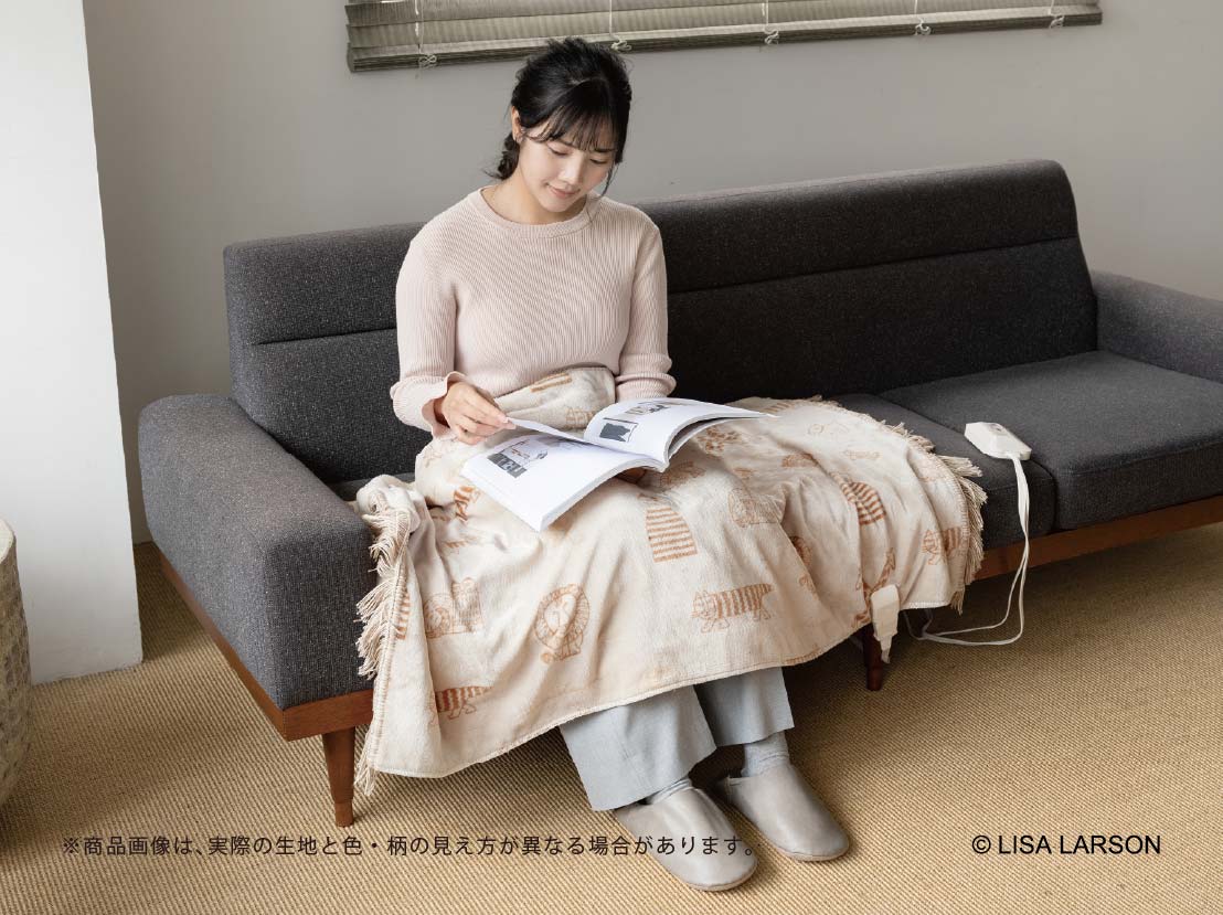 イメージ:手軽に使える電気ひざかけ
