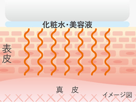 イメージ:超音波の振動でハリと弾力を