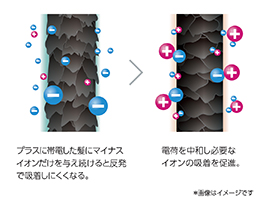 イメージ:ion balance technology