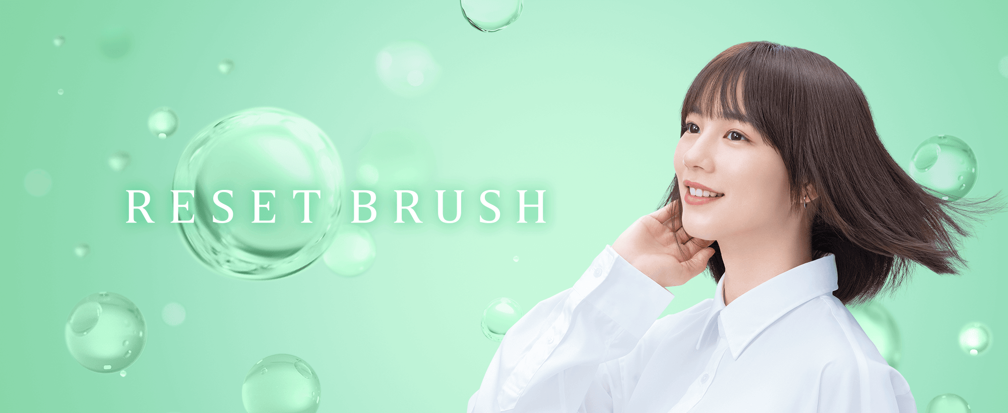 RESET BRUSH